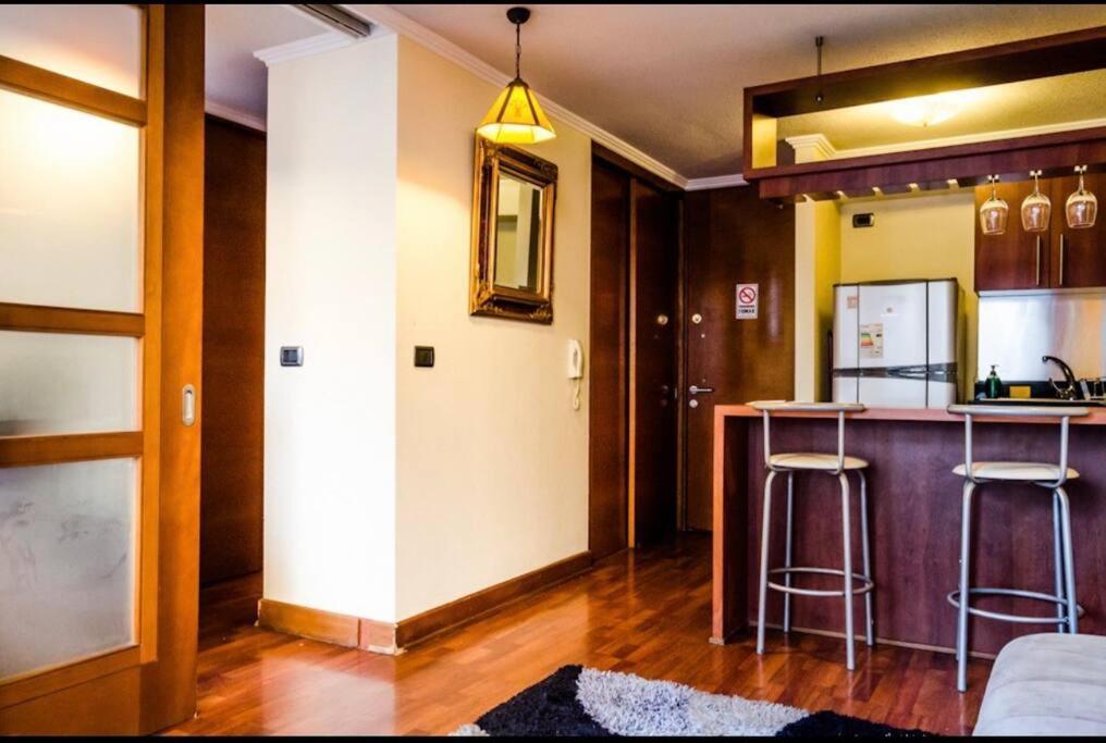 Apartamento Estupendo Depto, Ambiente Tranquilo En Providencia