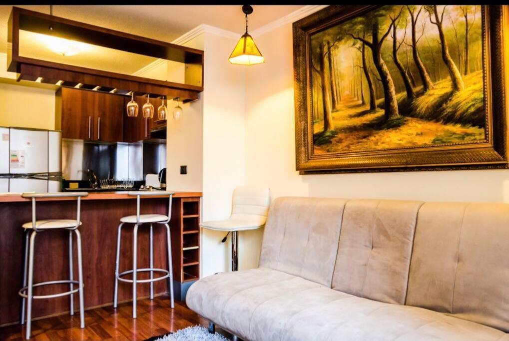 Estupendo Depto, Ambiente Tranquilo En Providencia Apartamento