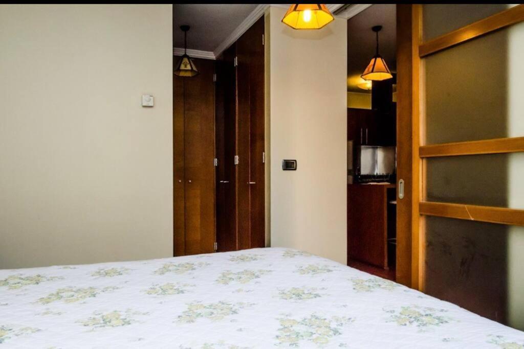 Estupendo Depto, Ambiente Tranquilo En Providencia Apartamento *
